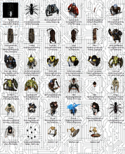 Load image into Gallery viewer, Darkwoulfe's Token Pack Vol53 - Scoundrels of Saltmarsh - 1