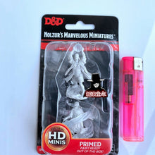 Load image into Gallery viewer, Original Wizkids Board Game Miniatures Orcs Dragonborn Fighter Blue Sladd Human Ranger Bandits Dog Dragon Beast Kobold Toy